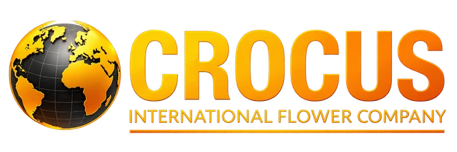 Crocus Flower Company